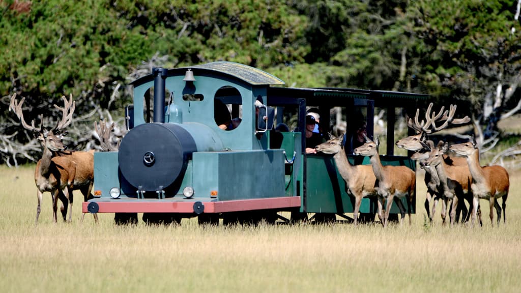 Fun-Park Hirtshals