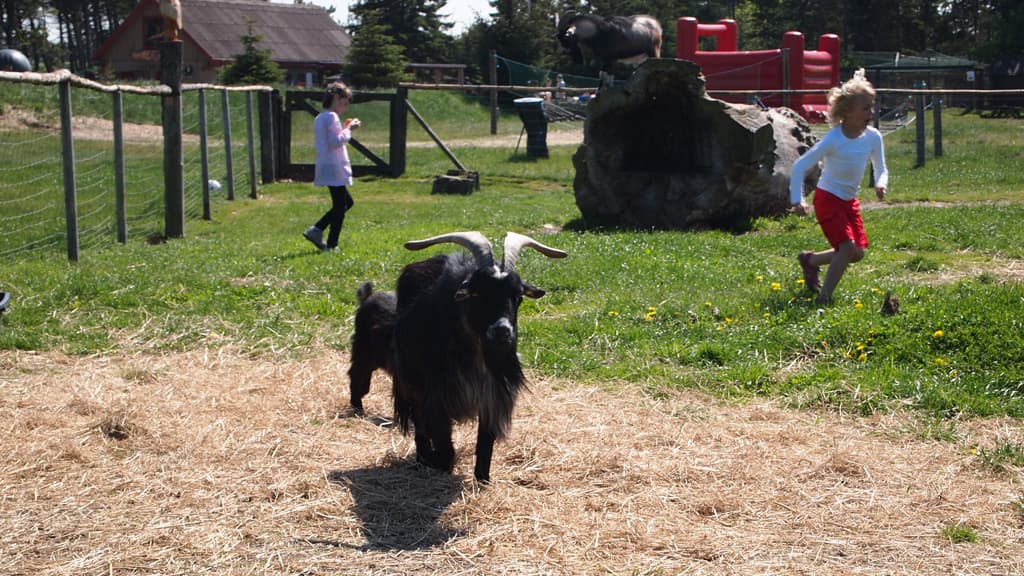 Fun-Park Hirtshals
