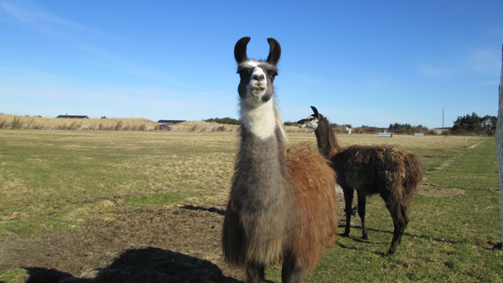 Fun-Park Hirtshals