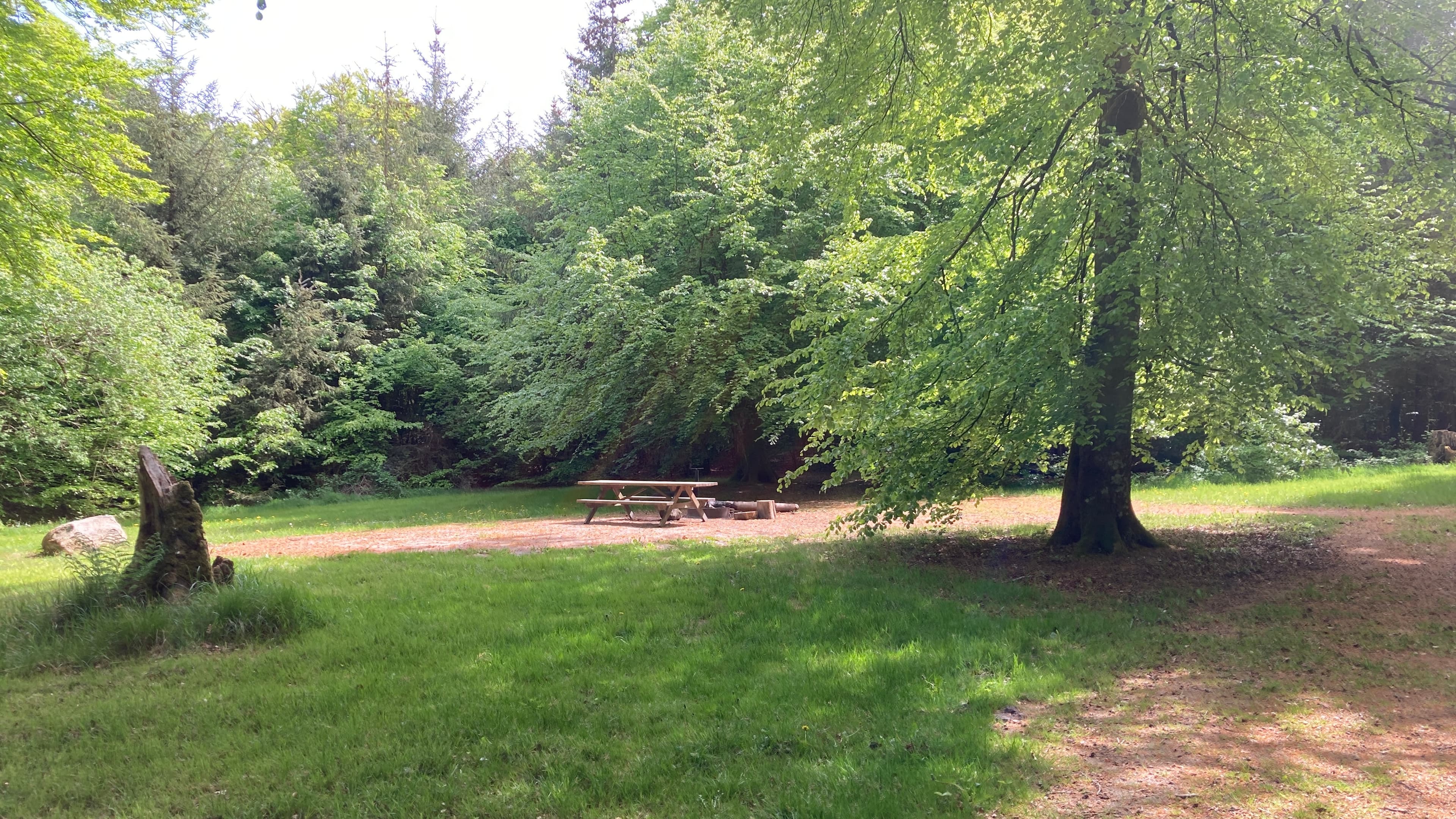 Der Lagerfeuerplatz Urskov im Troldwald