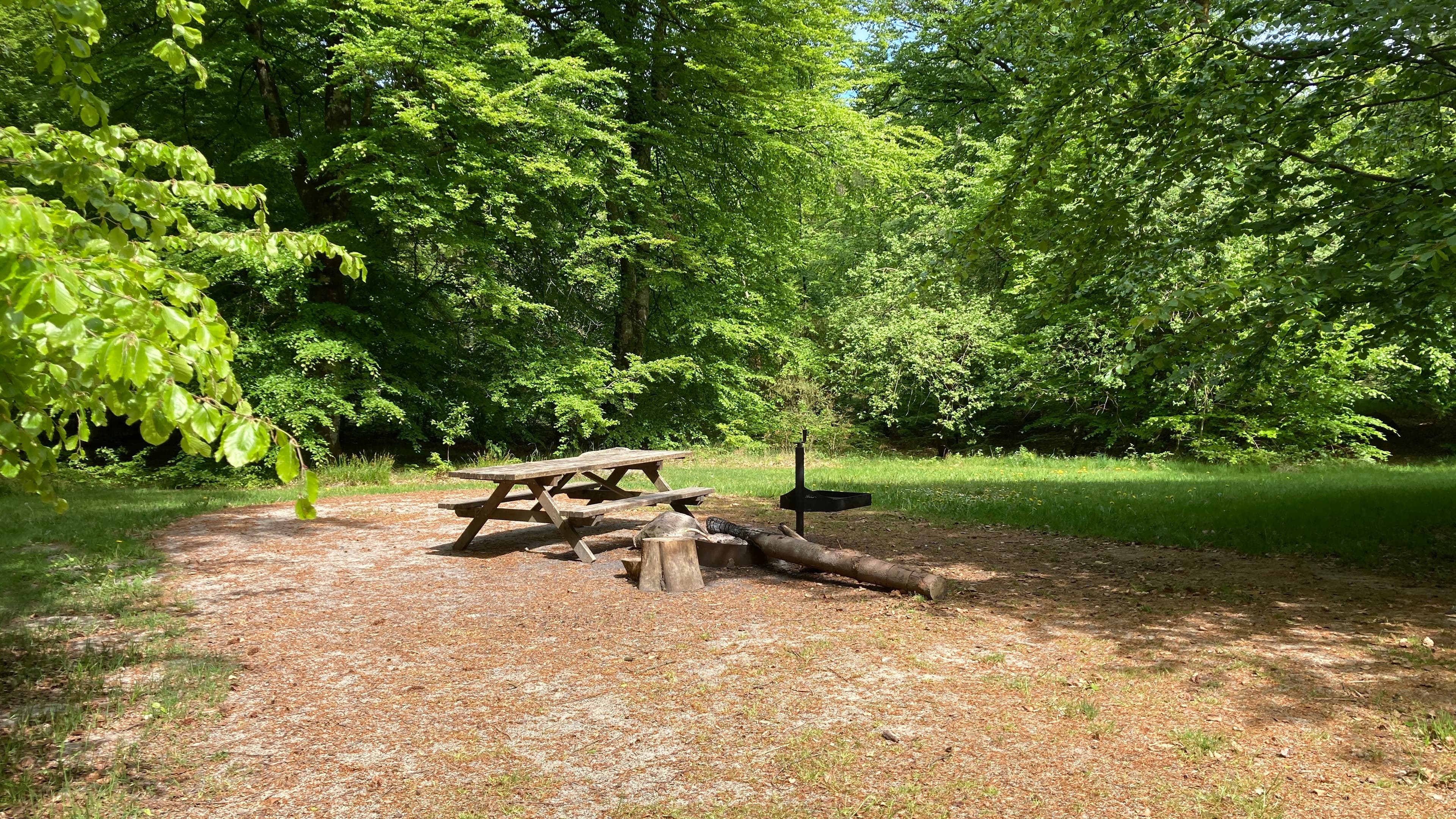 Der Lagerfeuerplatz Urskov im Troldwald