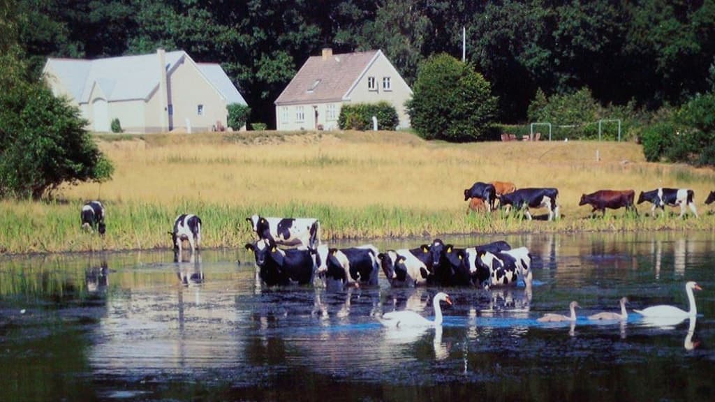 Engelsholm Bed & Breakfast