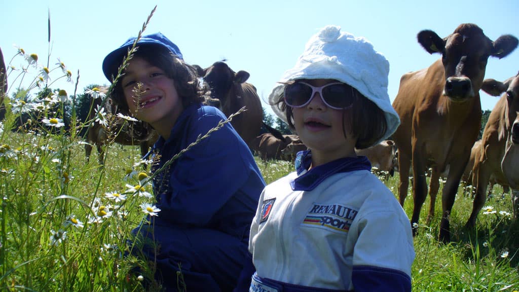 Gyvelborg Visitor Farm and Camping - Bauernhofurlaub