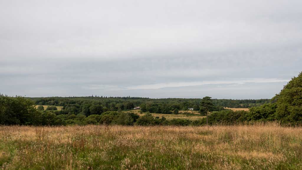 Hærvejen (Army trail)