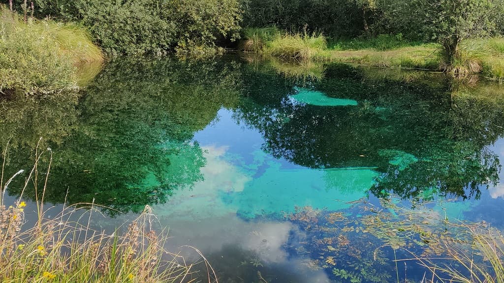 Store Blåkilde (Quelle)